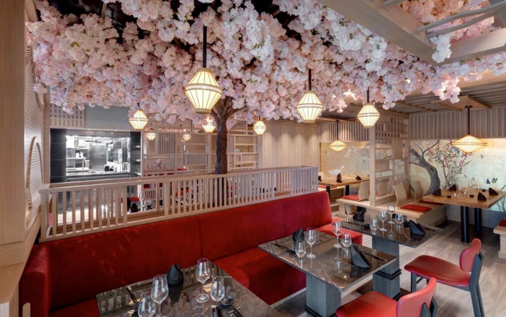 Explora Journeys EXPLORA III Sakura 2.jpg